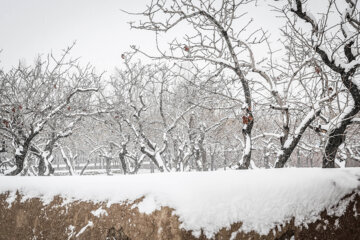 La nieve cubre de blanco Irán