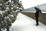 بارش برف و باران در استان زنجان ادامه دارد