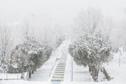 ایرانی شہر 'شہرکرد' میں برفباری کے حسین مناظر
