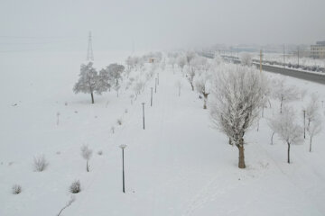 پرسه در برف- شهرکرد