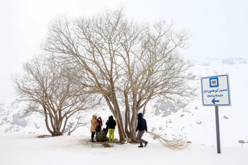 Hiver 2023 : station de ski de Tochal à Téhéran