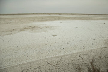 ۸۲ درصد سیستان و بلوچستان درگیر خشکسالی شدید است