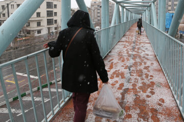 La nieve cubre de blanco Teherán