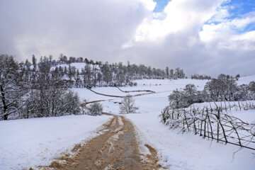 La neige couvre les hauteurs de Sari dans le nord de l’Iran