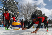 El torneo de voleibol de nieve en Hamedán

