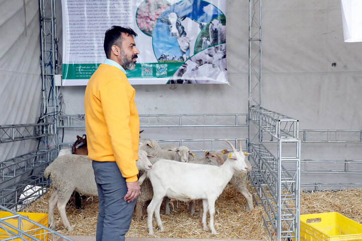 نمایشگاه دستاوردهای سازمان اقتصادی کوثر، فرصتی برای حضور فعالانه استعدادها