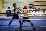 Tournoi Kick boxing Ados & Adultes à Tabriz