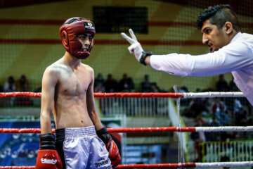 Tournoi Kick boxing Ados & Adultes à Tabriz 