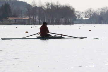 Aviron féminin : championnat d’Iran        