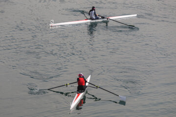 Aviron féminin : championnat d’Iran        