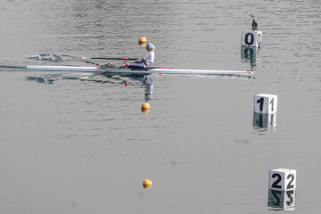 Aviron féminin : championnat d’Iran        