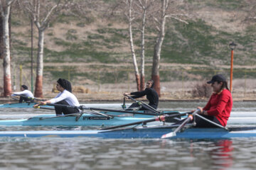 Aviron féminin : championnat d’Iran        