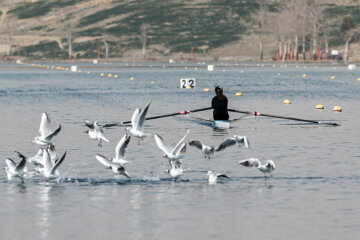 Aviron féminin : championnat d’Iran        