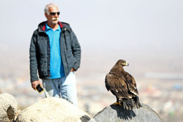 La liberación de las aves de la presa en Hamedán
