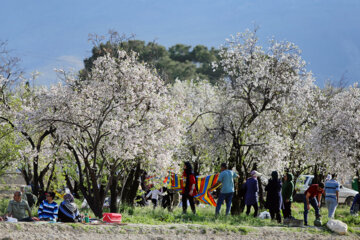 Le printemps se rue à Chiraz 