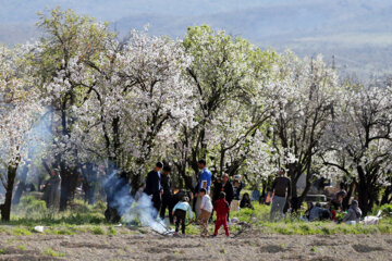 La primavera llega a Maharloo
