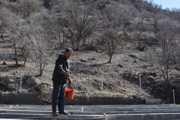 Cultivo de truchas en suroeste de Irán 