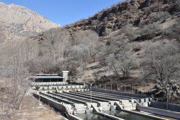 Cultivo de truchas en suroeste de Irán 