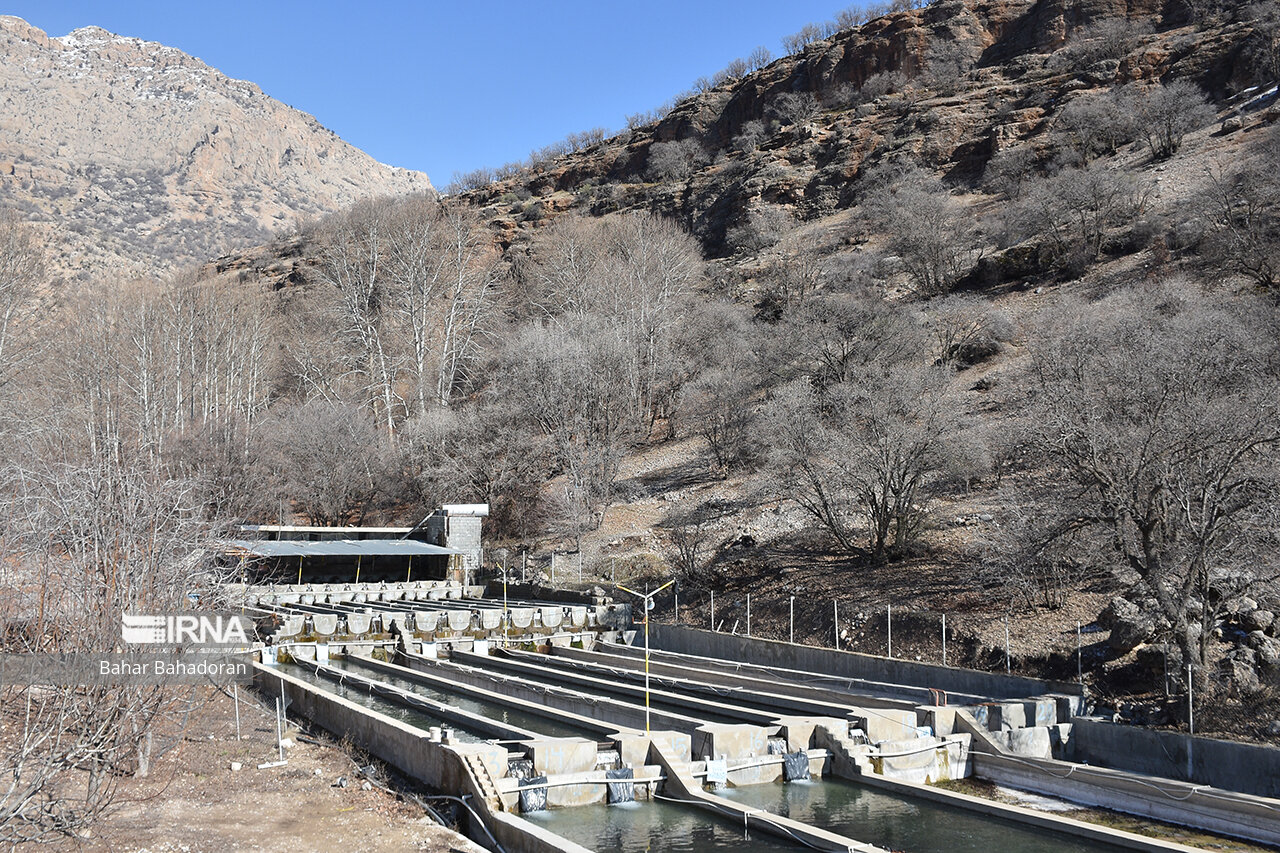 ساخت مجتمع پرورش ماهی ۱۵۰۰ تنی سیروان از طرح‌های اولویت‌دار کردستان است