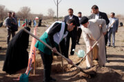 Con ocasión del Día Nacional de la Plantación de Árboles, el presidente Raisi planta un arbolillo