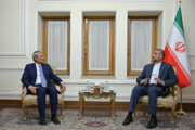 El canciller de Irán y el secretario general de la OCS se reúnen en Teherán