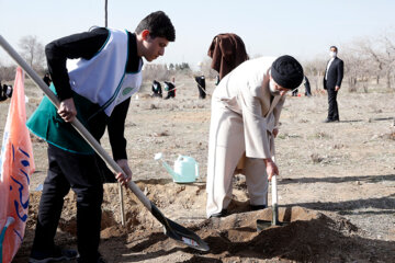 Con ocasión del Día Nacional de la Plantación de Árboles, el presidente Raisi planta un arbolillo