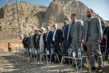 جشن درختکاری در کرمانشاه