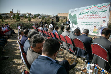 جشن درختکاری در کرمانشاه