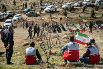 جشن درختکاری در کرمانشاه