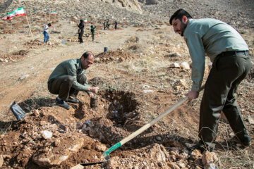 جشن درختکاری در کرمانشاه