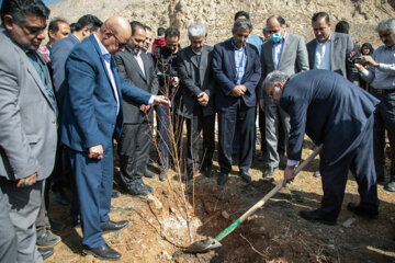 جشن درختکاری در کرمانشاه