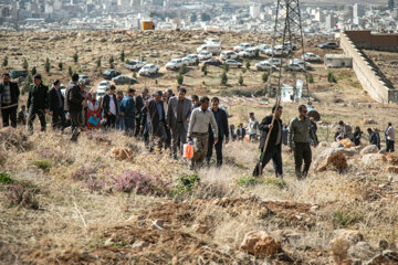 جشن درختکاری در کرمانشاه