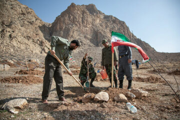 جشن درختکاری در کرمانشاه