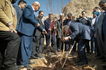 جشن درختکاری در کرمانشاه