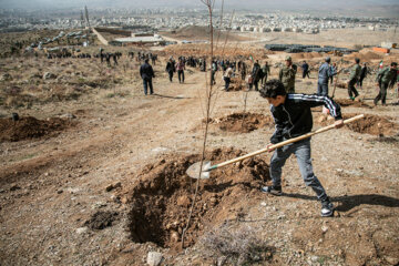 جشن درختکاری در کرمانشاه