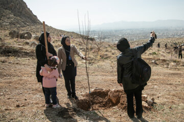 جشن درختکاری در کرمانشاه