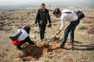 جشن درختکاری در کرمانشاه
