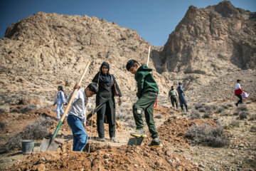 جشن درختکاری در کرمانشاه