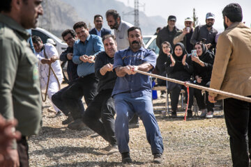 جشن درختکاری در کرمانشاه