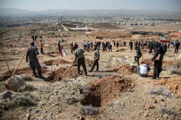جشن درختکاری در کرمانشاه