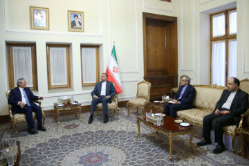 Le secrétaire général de l'Organisation de coopération de Shanghai rencontre Amirabdollahian à Téhéran 