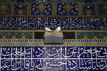 Reapertura del patio de Enghelab del Santuario Sagrado del Imam Reza (P)
