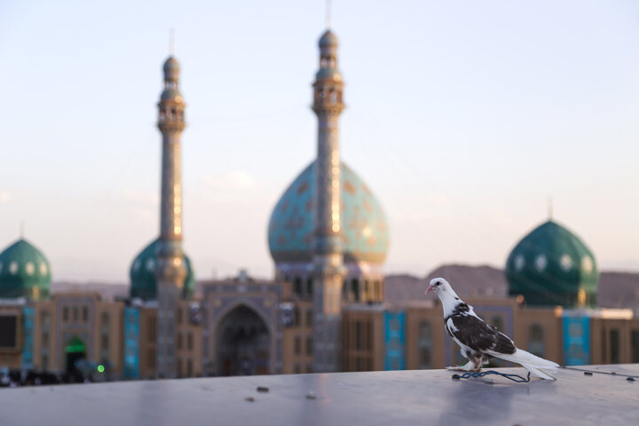 برگزاری «همدلی برای ظهور» در مسجد جمکران