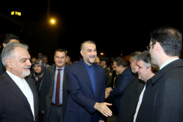 La visita de Amir Abdolahian a Turquía