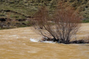 کاهش ۲۲ درصدی میزان روان آب بزرگترین رودخانه مازندران