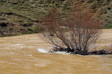 مسافران در حاشیه رودخانه های البرز توقف نکنند