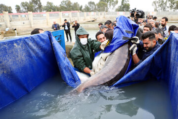 سفر وزیر تعاون، کار و رفاه اجتماعی به مازندران