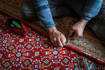 Los centros de limpieza de alfombras están ocupados con la llegada de Noruz en Irán
