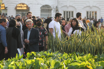 El bazar de Rasht en vísperas del Año Nuevo
