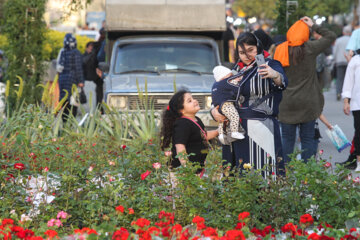 Rasht, une ville magique à l’approche de Norouz 